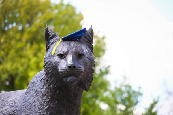 The statue of UK wildcat, Bowman, wearing a UK blue graduation cap and a bright yellow tassel.