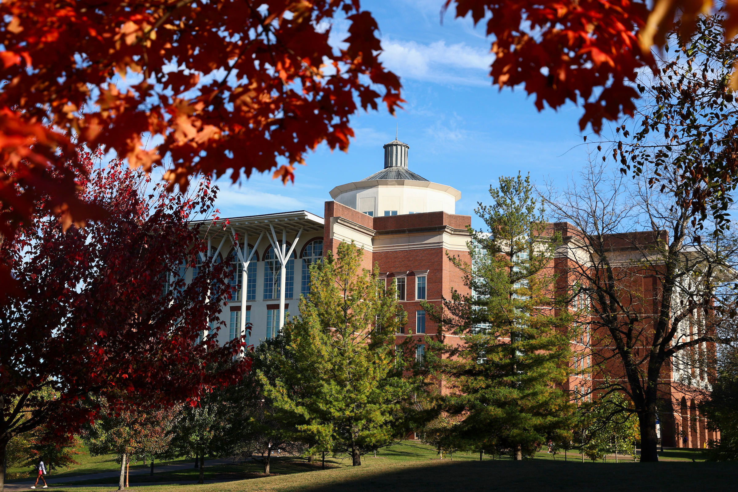William T. Young Library framed by red and orange foliage with a blue sky in the background