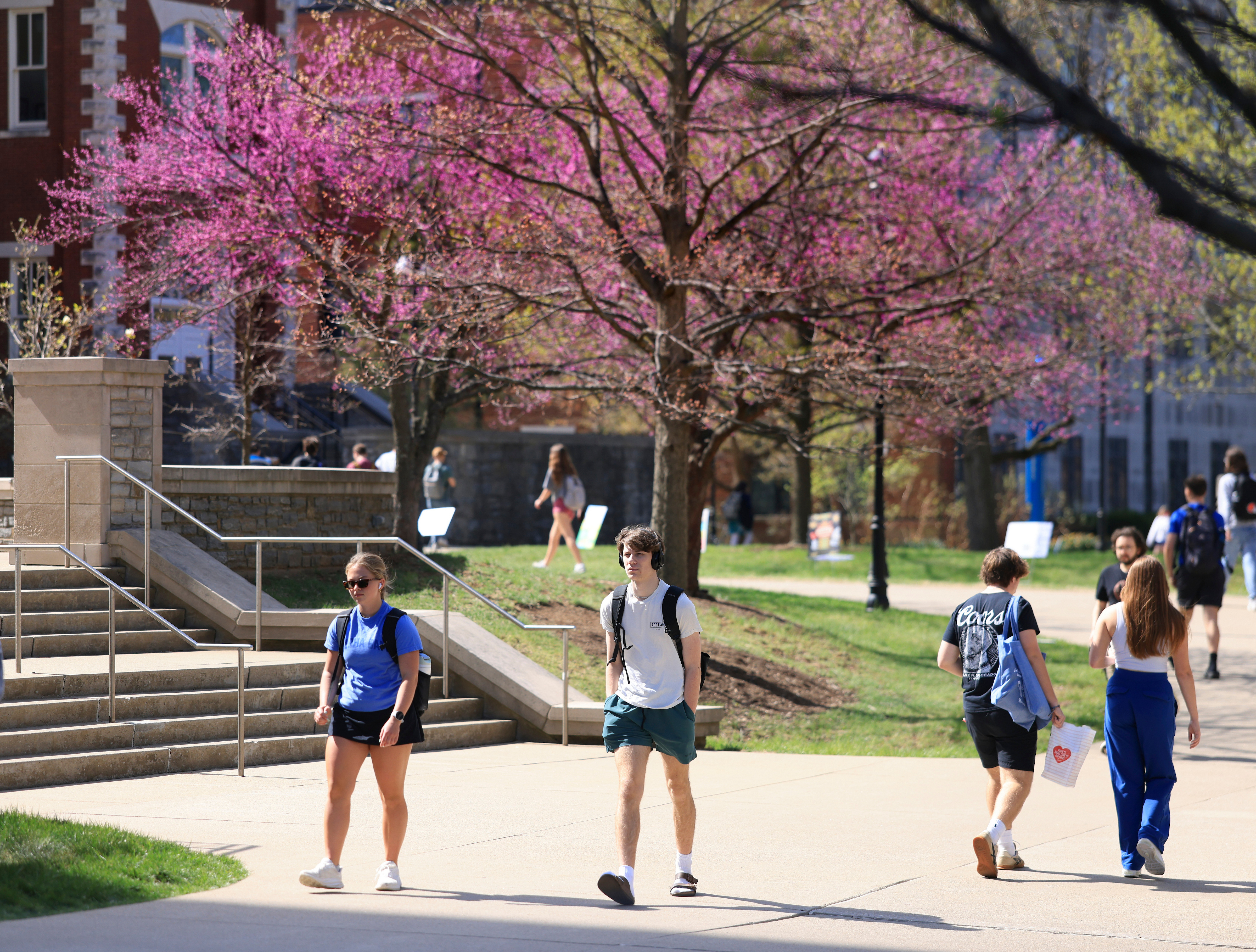 Students walking on a sidewalk near stairs with a tree and pink blossoms in the background
