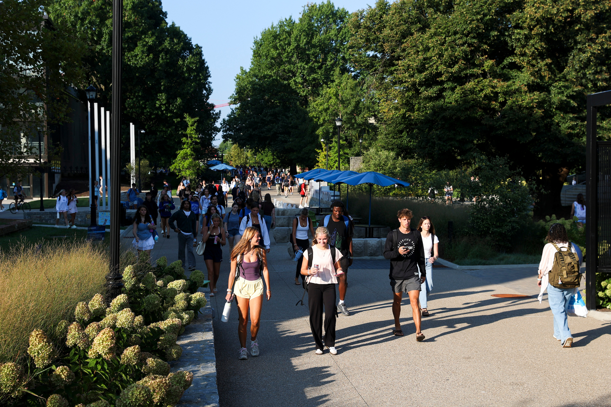 A crowd of students along a sidewalk lined with trees and plants, on their way to and from class