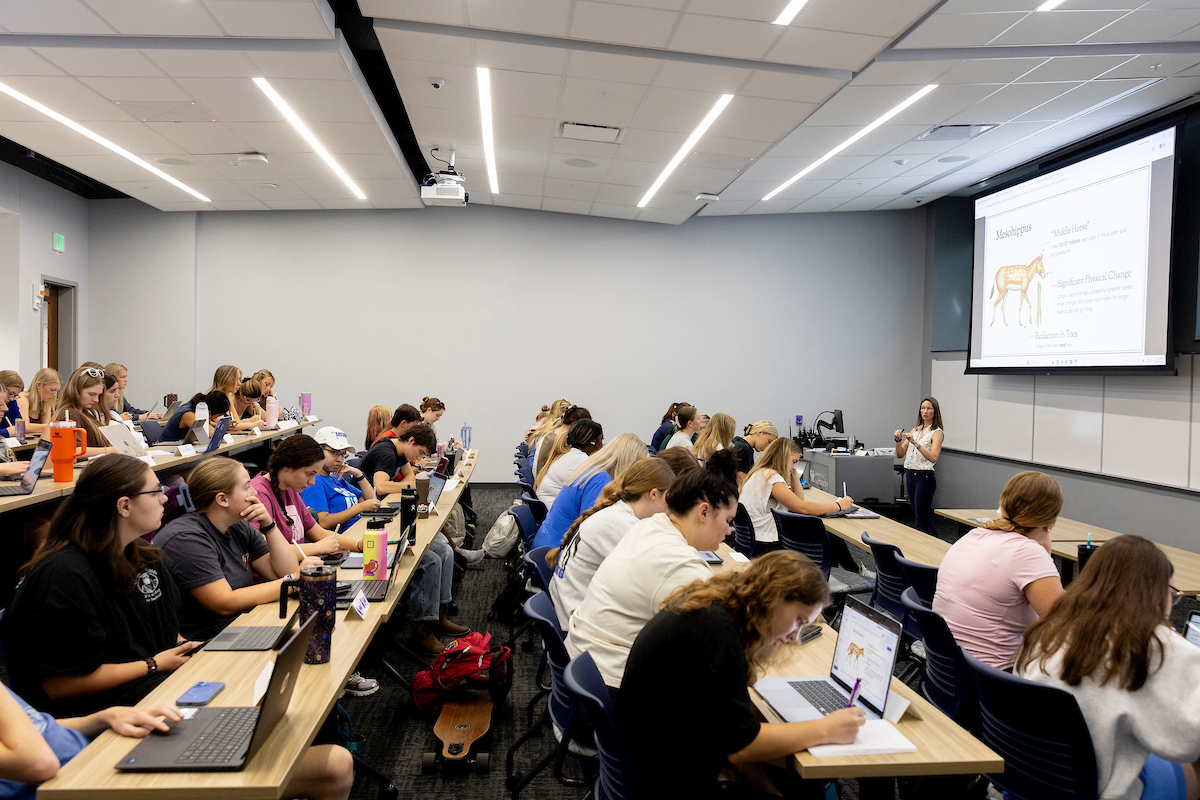 A classroom with long rows of tiered tables filled with students and an instructor standing at the front beneath a projector screen.