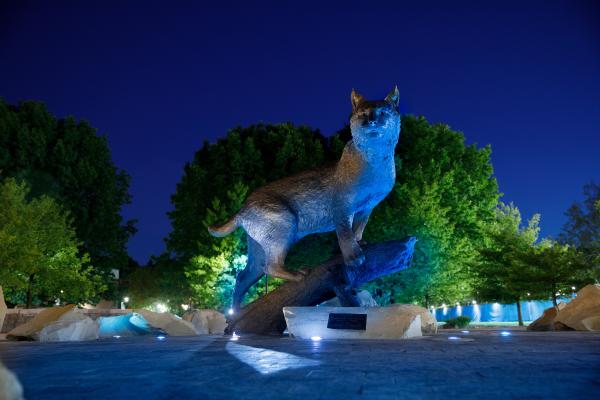 The Wildcat Bowman statue on UK's campus at night lit in blue. 