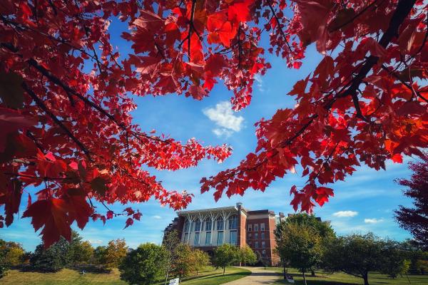 A large brick library in the distance with red oak leaves and branches framing the top third in front of bright blue skies.