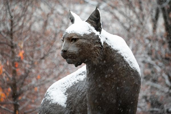a metal statue of a wildcat dusted with snow and bare tree branches in the background