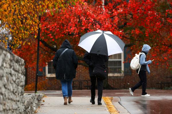 people walking along a damp sidewalk with a black and white umbrella and fall foliage in the background