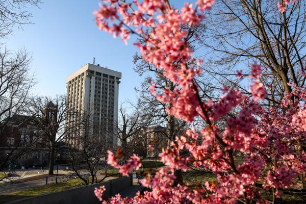 Patterson Office Tower and a light blue sky with bright pink flowers out of focus in the foreground.