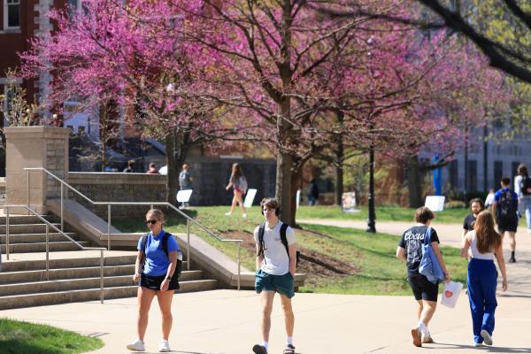 Students walking on a sidewalk near stairs with a tree and pink blossoms in the background