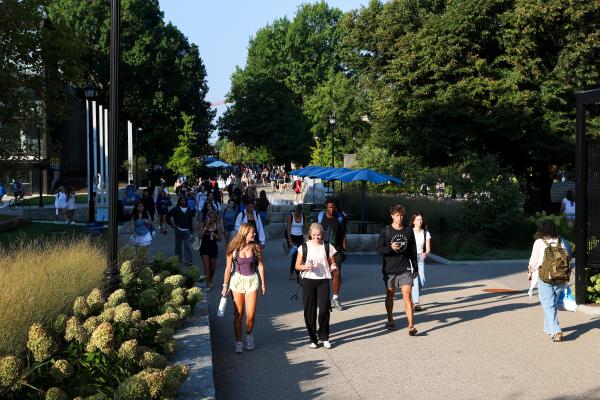A crowd of students along a sidewalk lined with trees and plants, on their way to and from class