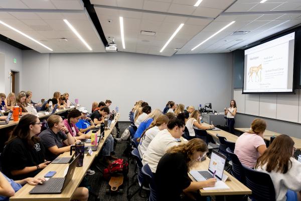 A classroom with long rows of tiered tables filled with students and an instructor standing at the front beneath a projector screen.