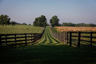 Photo of Kentucky farm 