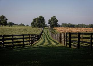 photo of Kentucky farm