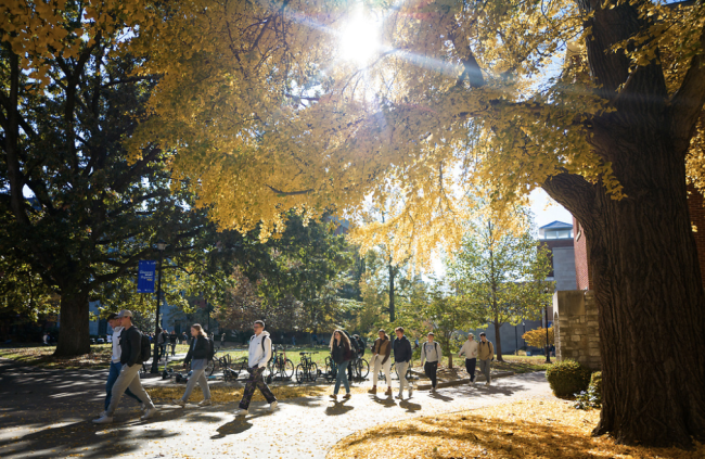 Fall on campus