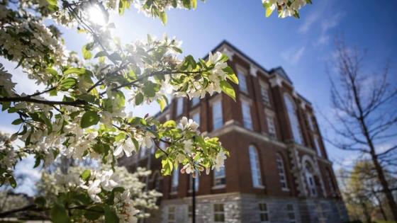 Gillis in spring