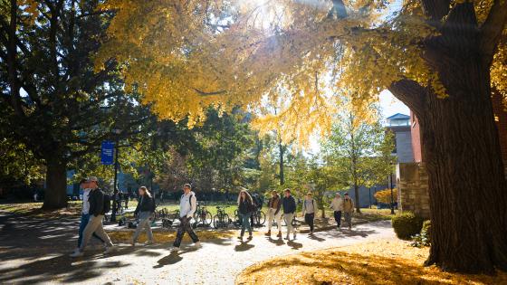 This is a photo of the University of Kentucky campus in the fall.
