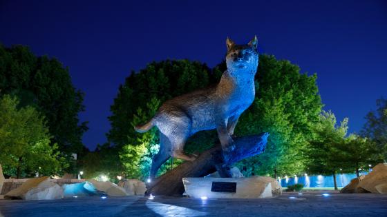 The Wildcat Bowman statue on UK's campus at night lit in blue. 