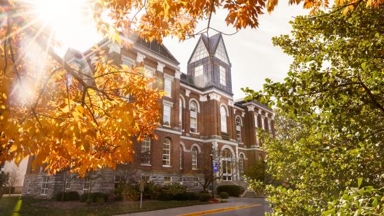 a large brick building with fall leaves surrounding the frame