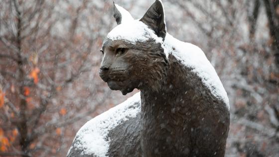 a metal statue of a wildcat dusted with snow and bare tree branches in the background