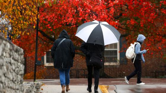 people walking along a damp sidewalk with a black and white umbrella and fall foliage in the background