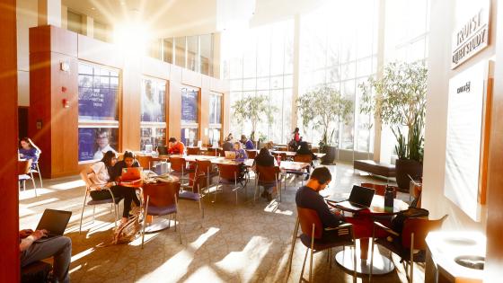 Sunlit front room of Gatton B&E filled with students studying at desks.