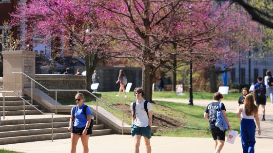 Students walking on a sidewalk near stairs with a tree and pink blossoms in the background