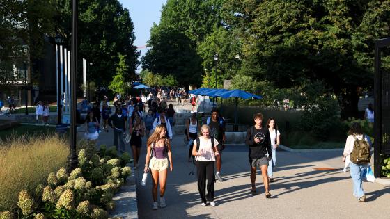 A crowd of students along a sidewalk lined with trees and plants, on their way to and from class