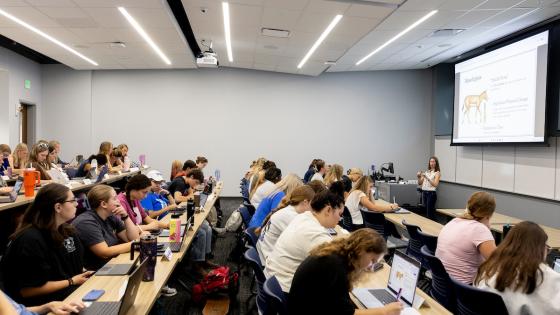 A classroom with long rows of tiered tables filled with students and an instructor standing at the front beneath a projector screen.