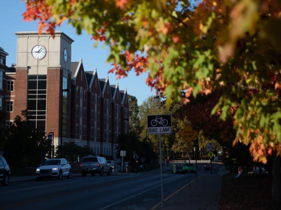 Campus in the fall.