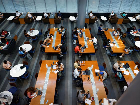 Students at work in Gatton Business School study area