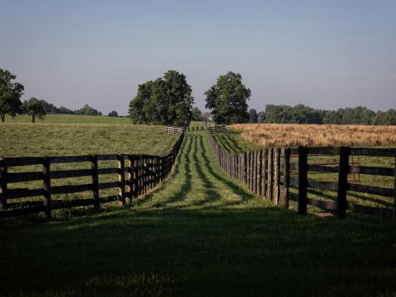 photo of Kentucky farm