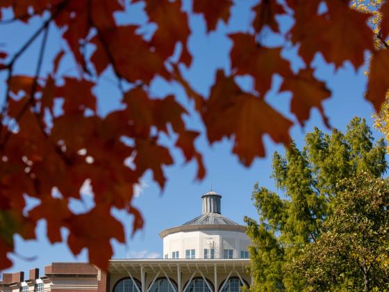 William T. Young library in the background seen through red fall leaves.