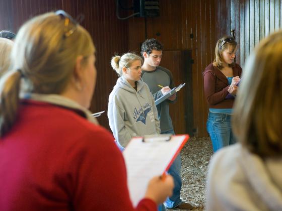 Students taking notes in a barn during an equine class. 